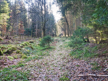 20220205202146-2d3d5116